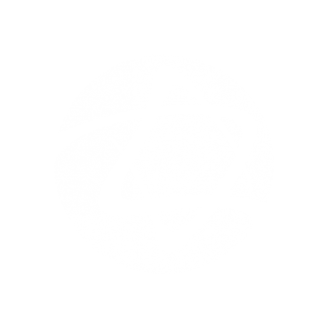 logo-albert-einstein